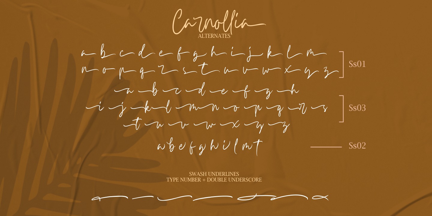 Ejemplo de fuente Carnollia Signature #3